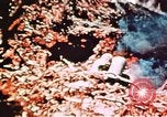 Standbild Schlacht von Okinawa Okinawa Ryukyu Inseln, 1945, aus Sekunde 17 historischem Filmmaterial Videoclip 65675051721
