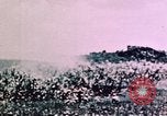 Standbild Schlacht von Okinawa Okinawa Ryukyu Inseln, 1945, aus Sekunde 23 historischem Filmmaterial Videoclip 65675051722