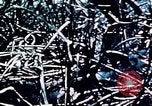 Standbild Schlacht von Okinawa Okinawa Ryukyu Inseln, 1945, aus Sekunde 39 historischem Filmmaterial Videoclip 65675051722