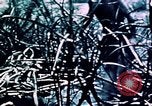 Standbild Schlacht von Okinawa Okinawa Ryukyu Inseln, 1945, aus Sekunde 42 historischem Filmmaterial Videoclip 65675051722