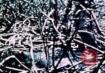 Standbild Schlacht von Okinawa Okinawa Ryukyu Inseln, 1945, aus Sekunde 46 historischem Filmmaterial Videoclip 65675051722