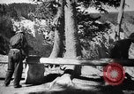Image CCC Yellowstone Wyoming USA, 1935, de la seconde 8 séquences d'archives historiques vidéo 65675051744