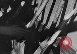 Immagine di WPA depressione grande progetto in West Virginia West Virginia USA, 1937, secondo 62 filmato di repertorio 65675051766