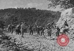 Standbild WPA Naturschutzprojekte in West Virginia West Virginia USA, 1937, aus Sekunde 3 historischem Filmmaterial Videoclip 65675051767
