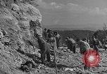 Standbild WPA Naturschutzprojekte in West Virginia West Virginia USA, 1937, aus Sekunde 5 historischem Filmmaterial Videoclip 65675051767