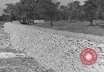 Immagine di WPA per la costruzione di ponti di Pietroburgo West Virginia Petersburg Virginia USA, 1937, secondo 48 filmato di repertorio 65675051769