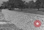 Immagine di WPA per la costruzione di ponti di Pietroburgo West Virginia Petersburg Virginia USA, 1937, secondo 49 filmato di repertorio 65675051769