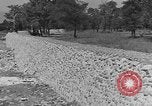 Immagine di WPA per la costruzione di ponti di Pietroburgo West Virginia Petersburg Virginia USA, 1937, secondo 50 filmato di repertorio 65675051769