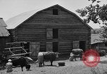 Standbild Camp Fairchance in Boone County West Virginia West Virginia USA, 1937, aus Sekunde 21 historischem Filmmaterial Videoclip 65675051770