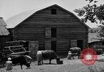Standbild Camp Fairchance in Boone County West Virginia West Virginia USA, 1937, aus Sekunde 23 historischem Filmmaterial Videoclip 65675051770