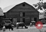 Standbild Camp Fairchance in Boone County West Virginia West Virginia USA, 1937, aus Sekunde 25 historischem Filmmaterial Videoclip 65675051770