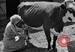 Standbild Camp Fairchance in Boone County West Virginia West Virginia USA, 1937, aus Sekunde 26 historischem Filmmaterial Videoclip 65675051770