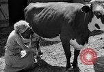 Standbild Camp Fairchance in Boone County West Virginia West Virginia USA, 1937, aus Sekunde 27 historischem Filmmaterial Videoclip 65675051770