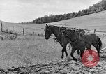 Standbild Camp Fairchance in Boone County West Virginia West Virginia USA, 1937, aus Sekunde 32 historischem Filmmaterial Videoclip 65675051770