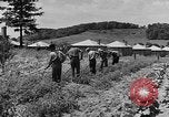 Standbild Camp Fairchance in Boone County West Virginia West Virginia USA, 1937, aus Sekunde 42 historischem Filmmaterial Videoclip 65675051770