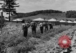 Standbild Camp Fairchance in Boone County West Virginia West Virginia USA, 1937, aus Sekunde 44 historischem Filmmaterial Videoclip 65675051770