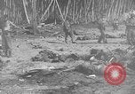 Image Secrétaire de Navy Frank Knox Patuxent River Maryland USA, 1943, de la seconde 20 séquences d'archives historiques vidéo 65675051791