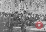 Image Secrétaire de Navy Frank Knox Patuxent River Maryland USA, 1943, de la seconde 23 séquences d'archives historiques vidéo 65675051791