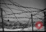 Immagine di Ufficiali tedeschi La Russia, 1948, secondo 13 filmato di repertorio 65675051802