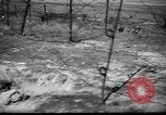 Immagine di Ufficiali tedeschi La Russia, 1948, secondo 23 filmato di repertorio 65675051802