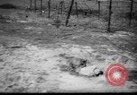 Immagine di Ufficiali tedeschi La Russia, 1948, secondo 24 filmato di repertorio 65675051802