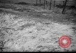 Immagine di Ufficiali tedeschi La Russia, 1948, secondo 25 filmato di repertorio 65675051802
