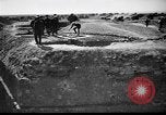 Immagine di Ufficiali tedeschi La Russia, 1948, secondo 49 filmato di repertorio 65675051802