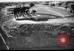 Immagine di Ufficiali tedeschi La Russia, 1948, secondo 51 filmato di repertorio 65675051802
