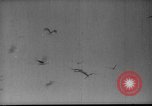 Immagine di Le truppe russe La Russia, 1948, secondo 19 filmato di repertorio 65675051803