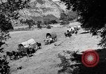 Immagine di Cavallo e carri coperti United States USA, 1918, secondo 11 filmato di repertorio 65675051805