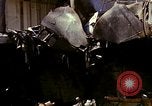 Immagine di Corazzata francese Casablanca in Marocco, 1942, secondo 58 filmato di repertorio 65675051817