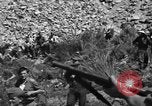 Immagine di Prigionieri tedeschi Saint Raphael Francia, 1944, secondo 21 filmato di repertorio 65675051848