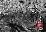 Immagine di Prigionieri tedeschi Saint Raphael Francia, 1944, secondo 25 filmato di repertorio 65675051848
