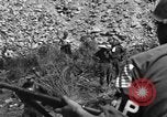 Immagine di Prigionieri tedeschi Saint Raphael Francia, 1944, secondo 27 filmato di repertorio 65675051848