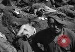 Immagine di Prigionieri tedeschi Saint Raphael Francia, 1944, secondo 35 filmato di repertorio 65675051848
