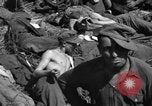 Immagine di Prigionieri tedeschi Saint Raphael Francia, 1944, secondo 36 filmato di repertorio 65675051848