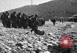 Immagine di Prigionieri tedeschi Saint Raphael Francia, 1944, secondo 12 filmato di repertorio 65675051849
