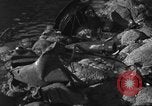 Image bombardé LST Saint Raphael France, 1944, de la seconde 49 séquences d'archives historiques vidéo 65675051853