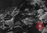 Image bombardé LST Saint Raphael France, 1944, de la seconde 51 séquences d'archives historiques vidéo 65675051853
