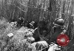 Image of United States soldiers Sicily Italy, 1943, second 52 stock footage video 65675051857