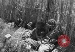 Image of United States soldiers Sicily Italy, 1943, second 54 stock footage video 65675051857