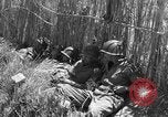Image of United States soldiers Sicily Italy, 1943, second 57 stock footage video 65675051857