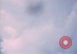 Image of trees Vietnam, 1967, second 9 stock footage video 65675051862