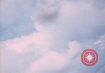 Image of trees Vietnam, 1967, second 28 stock footage video 65675051862