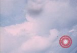 Image of trees Vietnam, 1967, second 29 stock footage video 65675051862