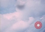 Image of trees Vietnam, 1967, second 30 stock footage video 65675051862