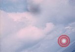 Image of trees Vietnam, 1967, second 34 stock footage video 65675051862