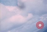 Image of trees Vietnam, 1967, second 36 stock footage video 65675051862