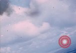 Image of trees Vietnam, 1967, second 40 stock footage video 65675051862