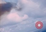 Image of trees Vietnam, 1967, second 44 stock footage video 65675051862